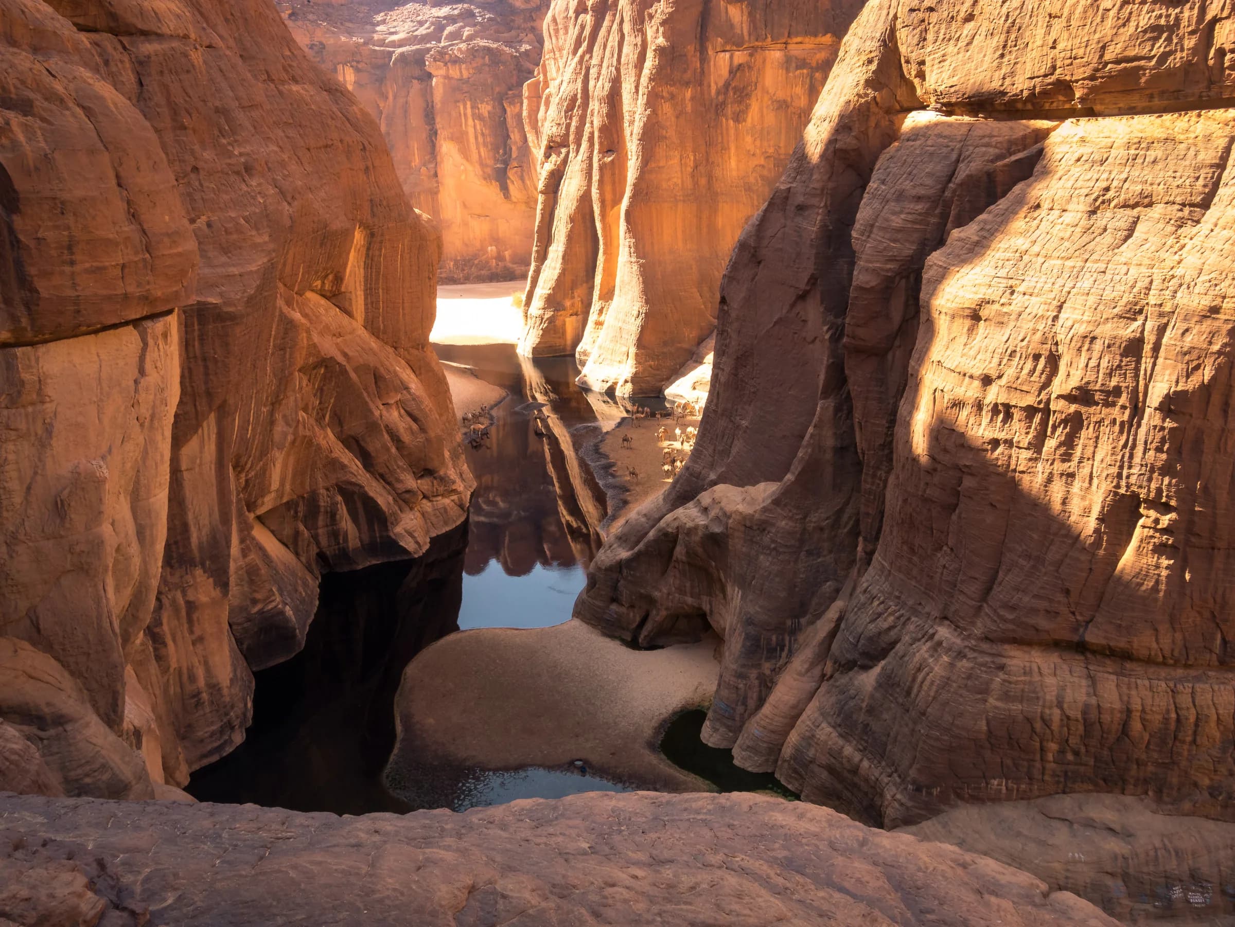 La guelta d'Archei dans le massif de l'Ennedi, patrimoine mondial de l'UNESCO, Tchad